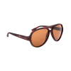 Product 8299 with SKU 8299TORTOISE in Tortoise